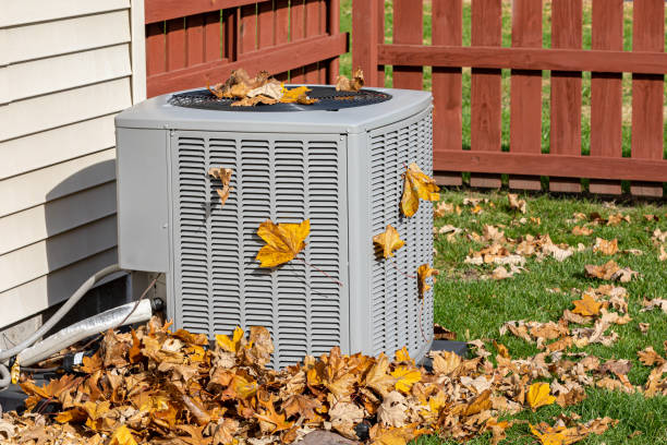 Best Best HVAC Companies  in Phoenix Lake, CA